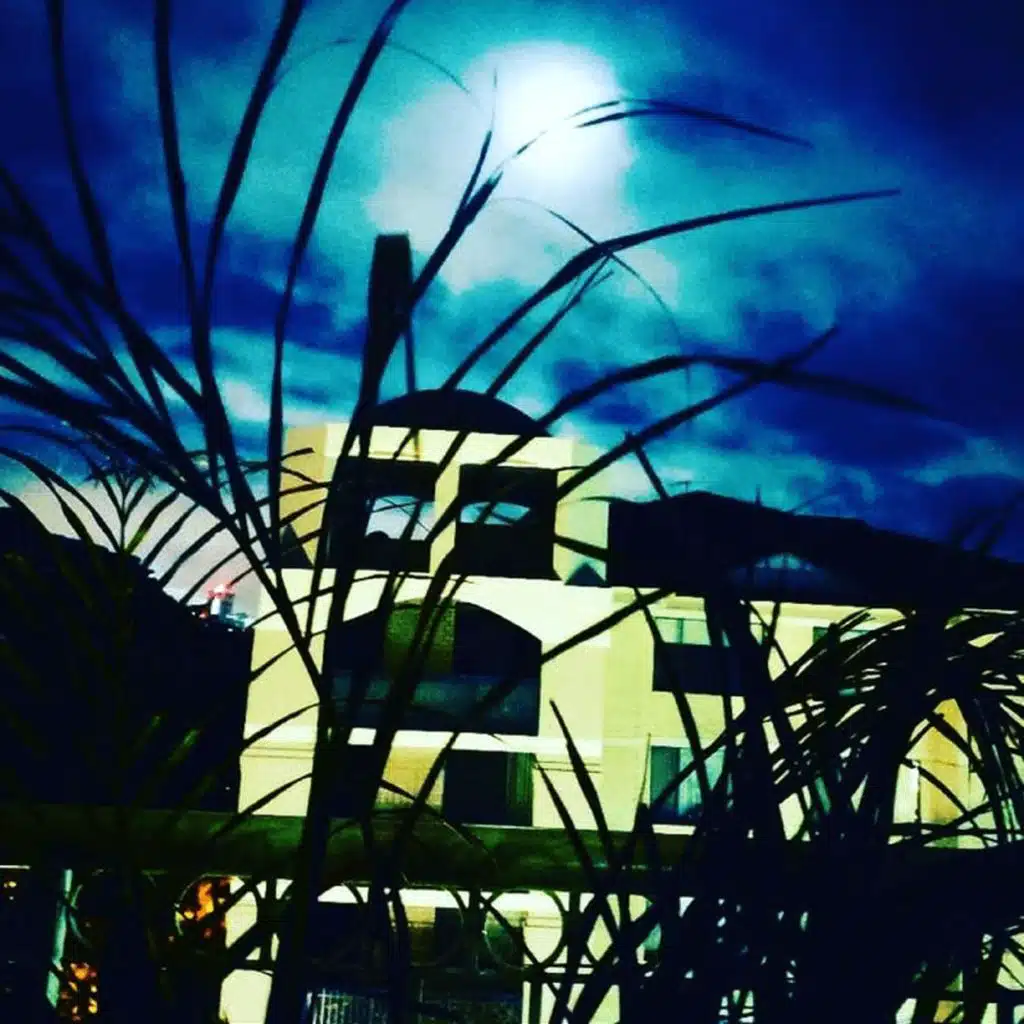 header-image