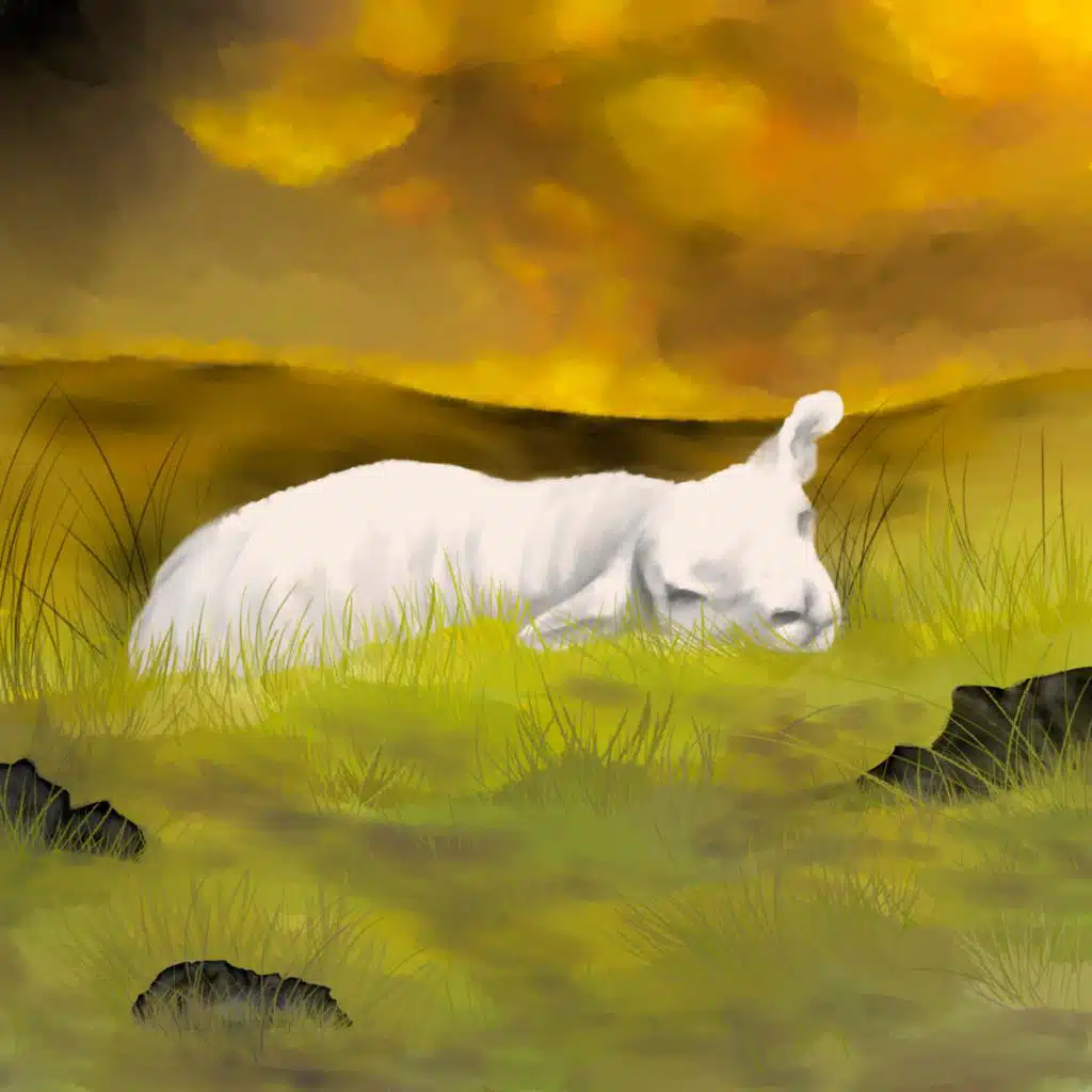 header-image