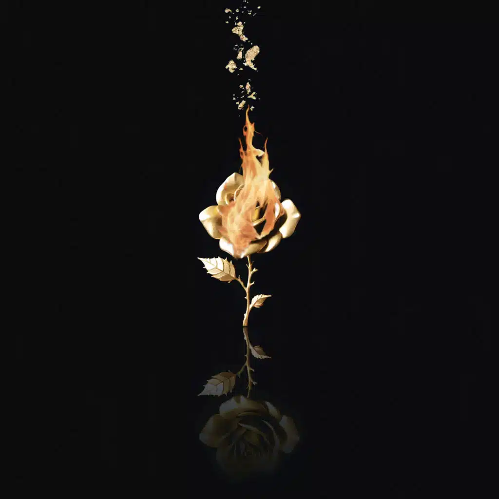 artist-header-image