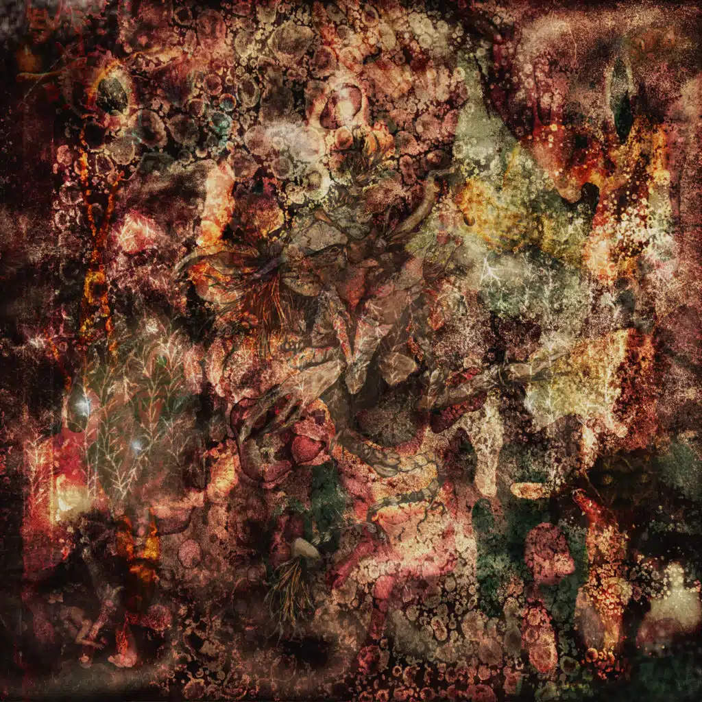 artist-header-image