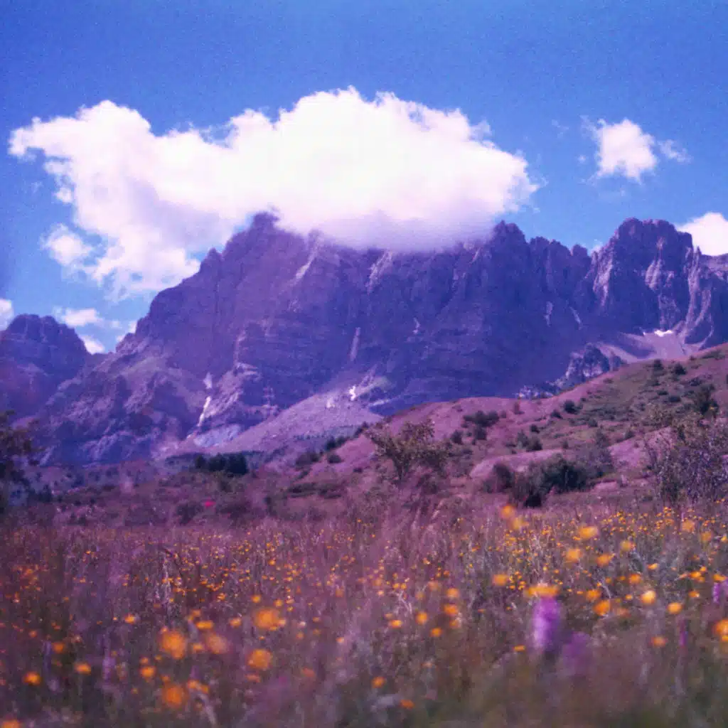 header-image