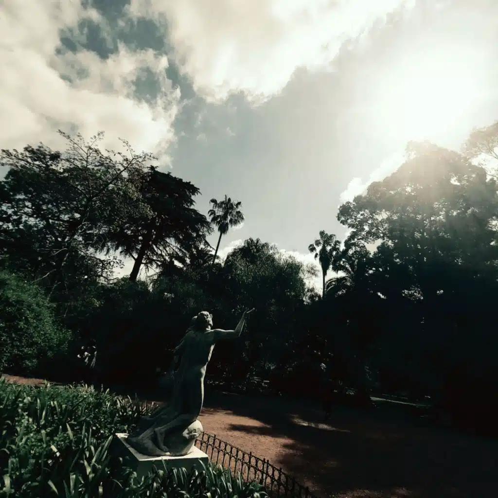 artist-header-image