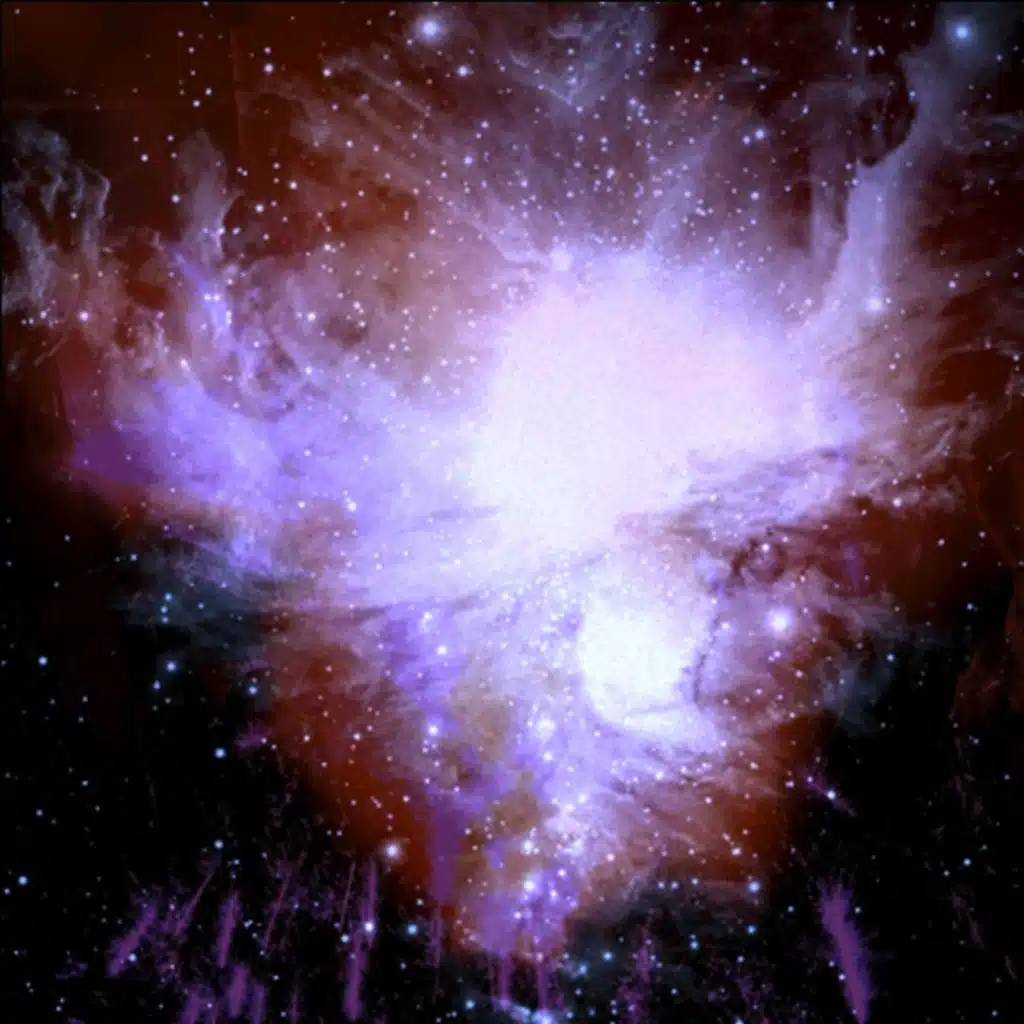 artist-header-image