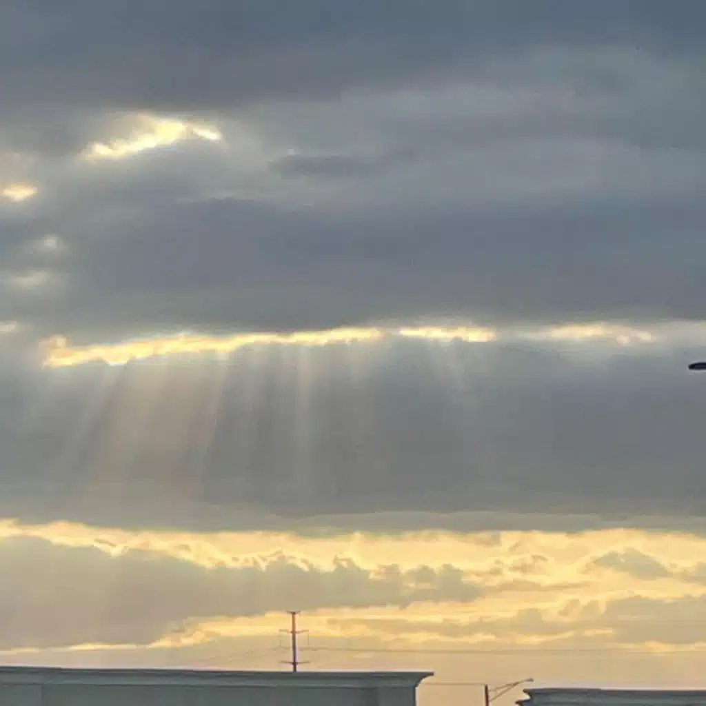 header-image