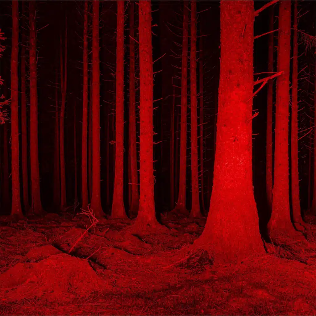 header-image
