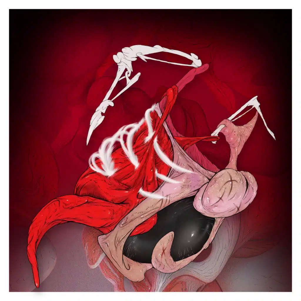 artist-header-image