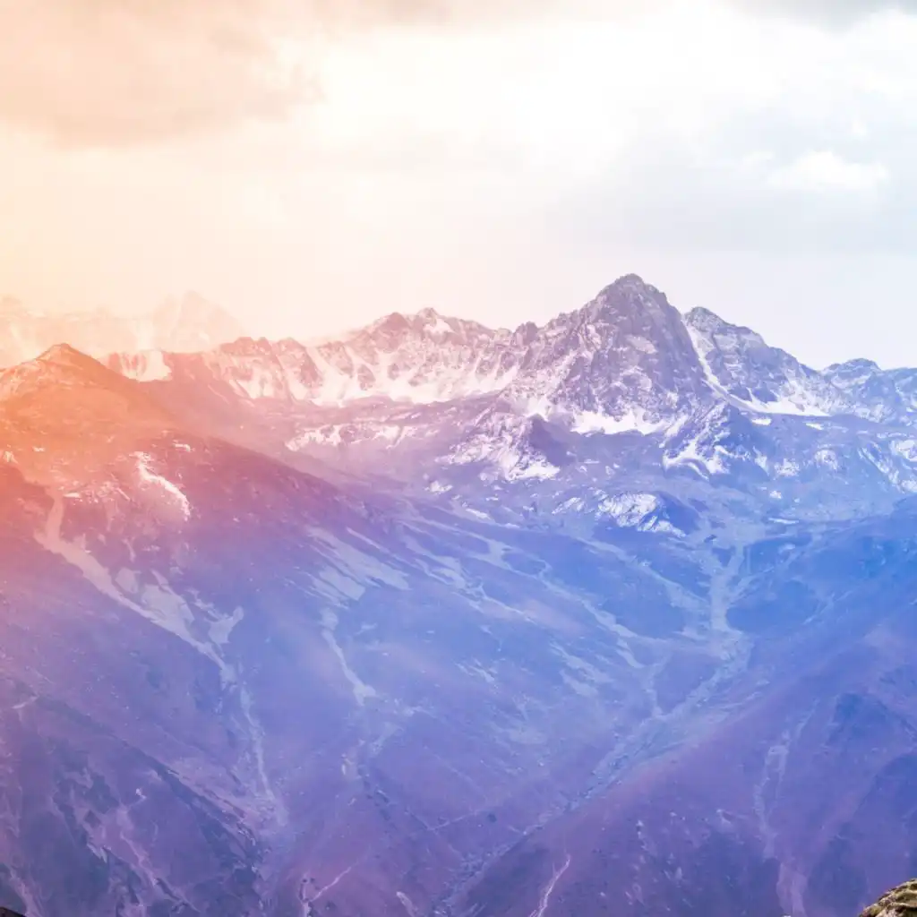 artist-header-image