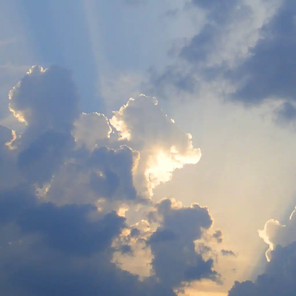 header-image