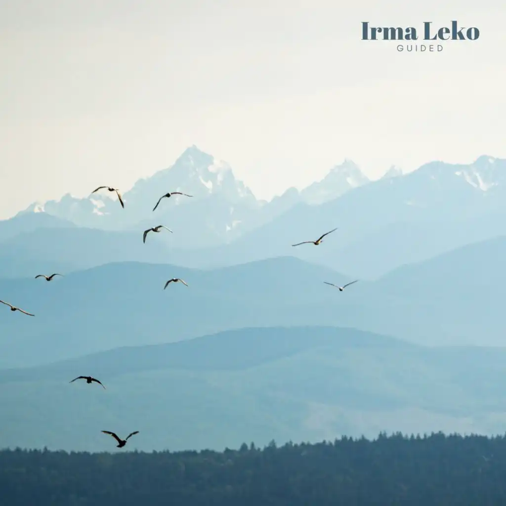 artist-header-image
