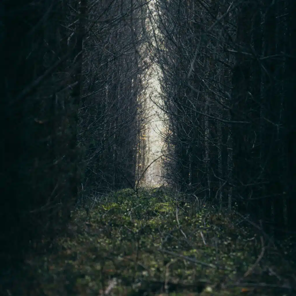 episode-header-image