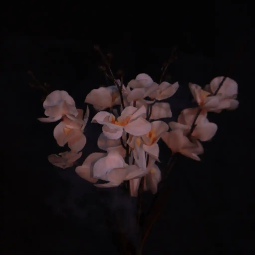 artist-header-image