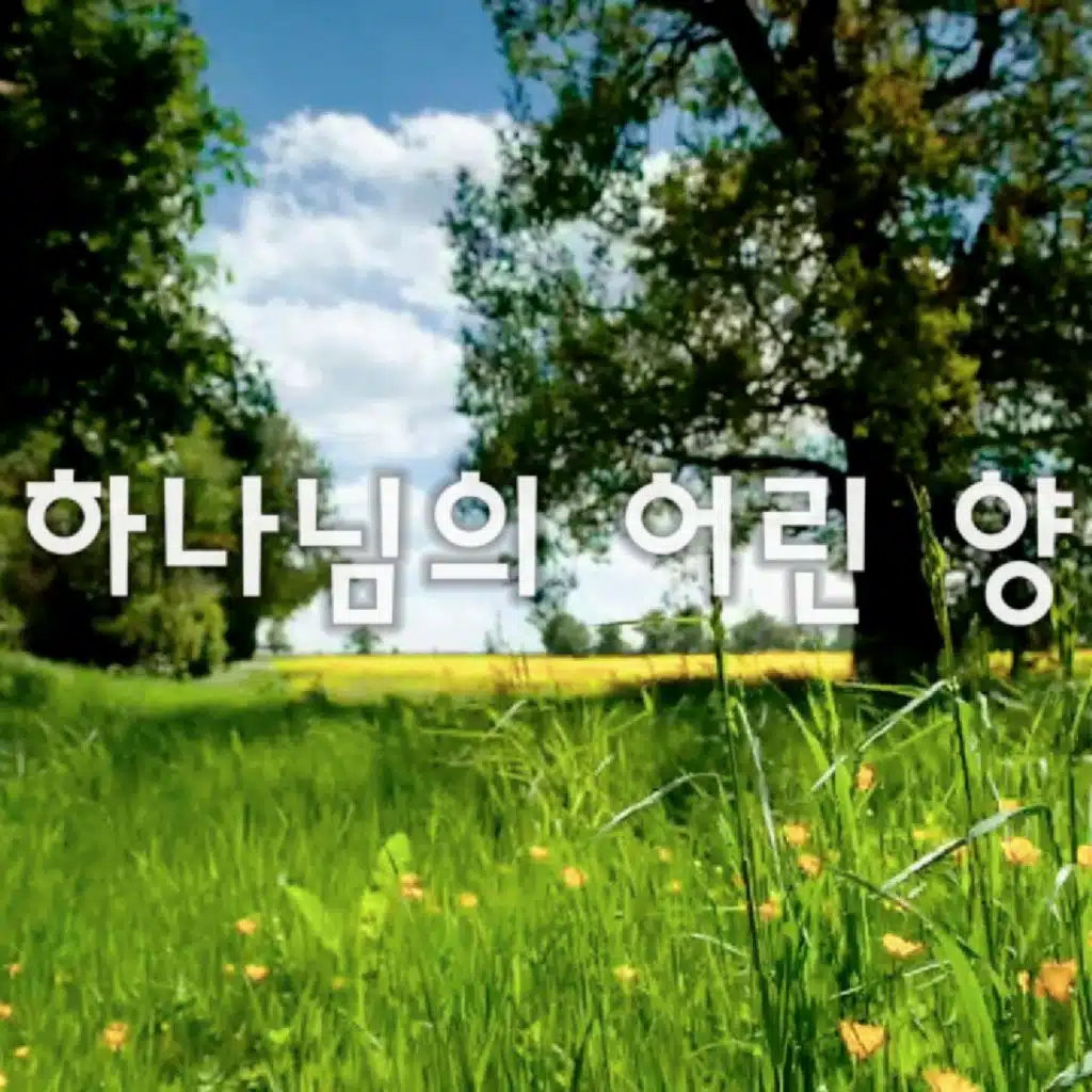 header-image