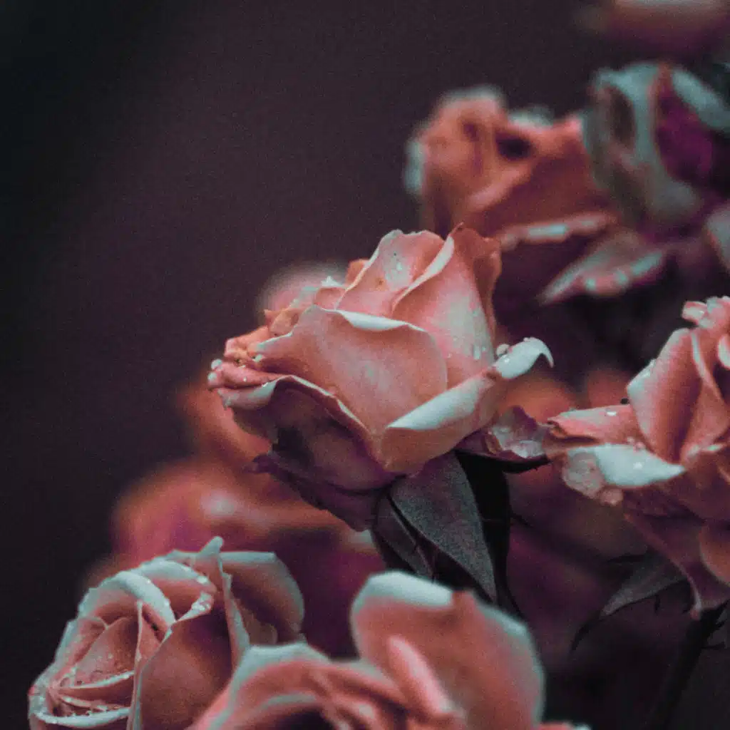 artist-header-image
