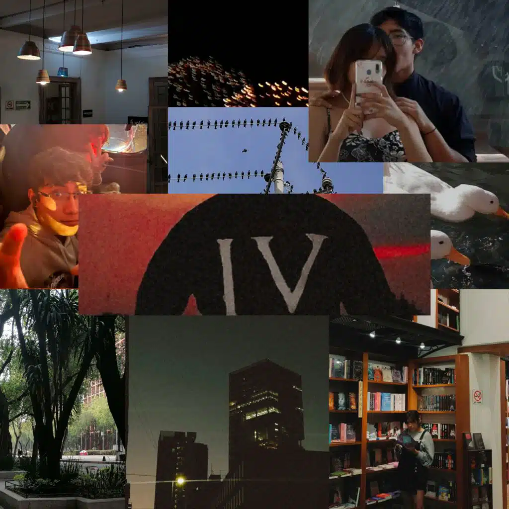 header-image