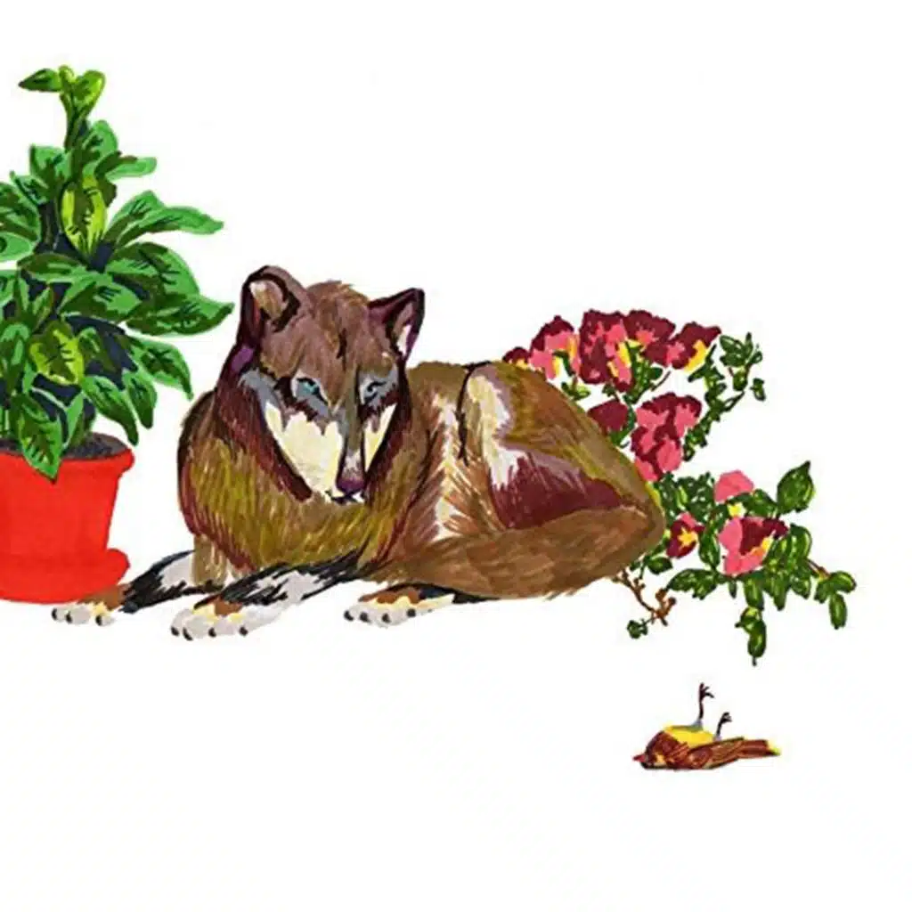 header-image