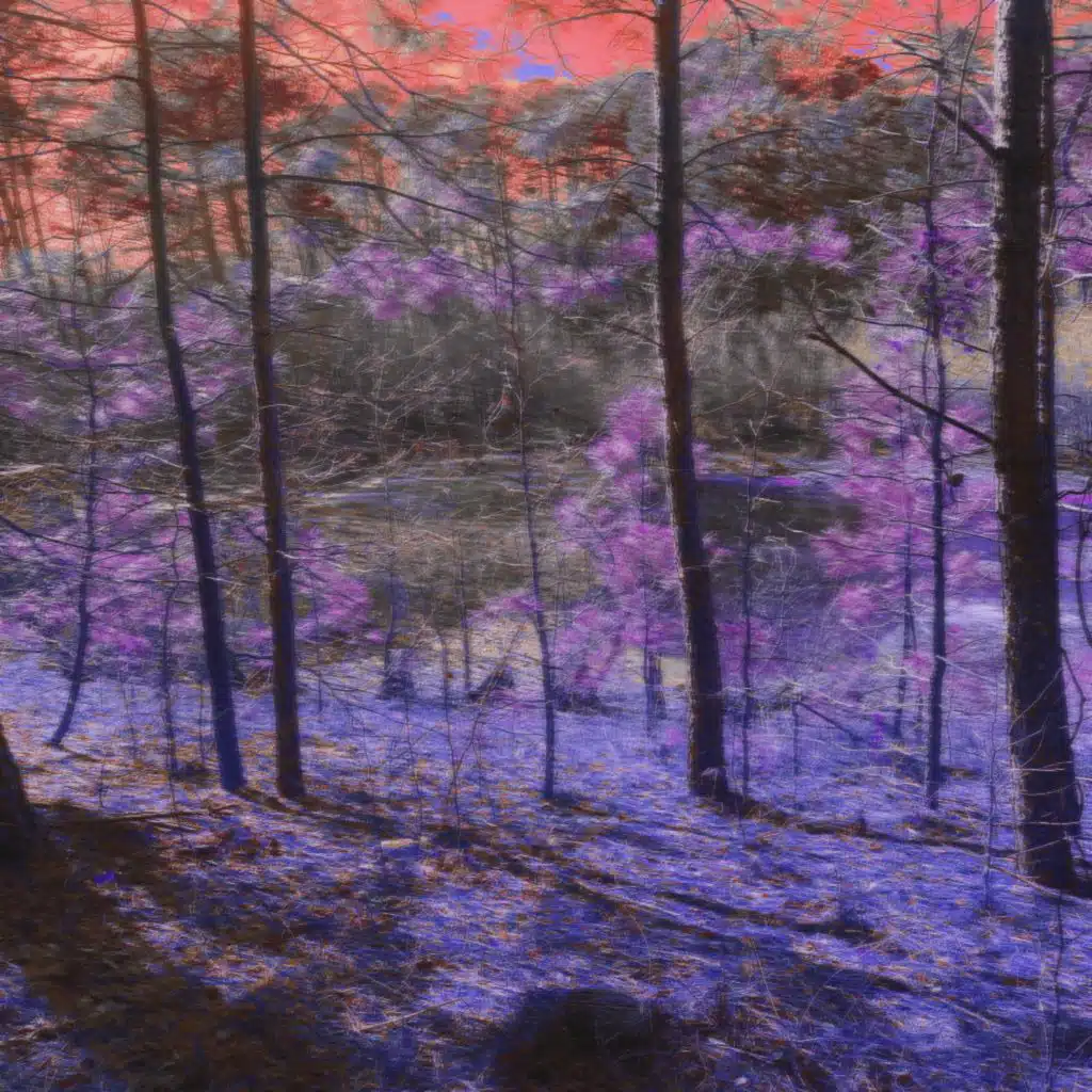 artist-header-image