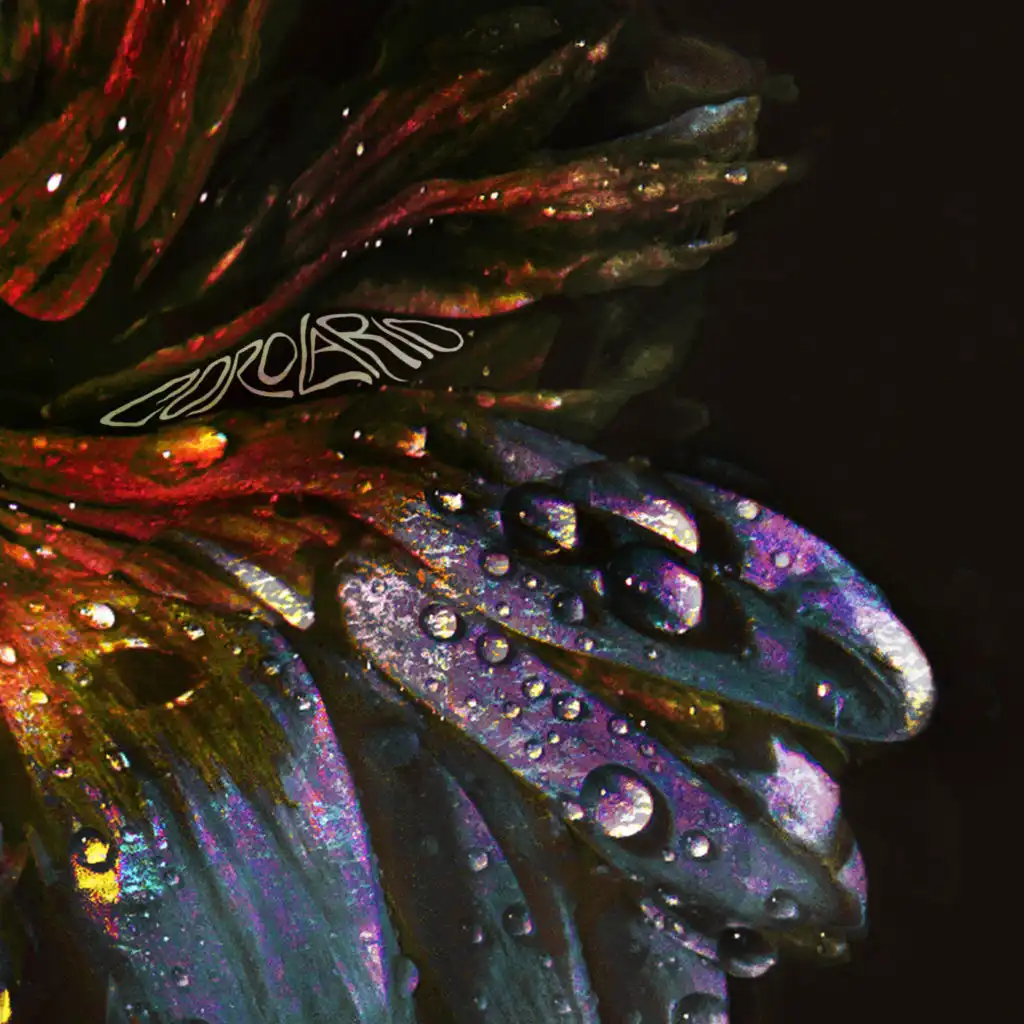 artist-header-image