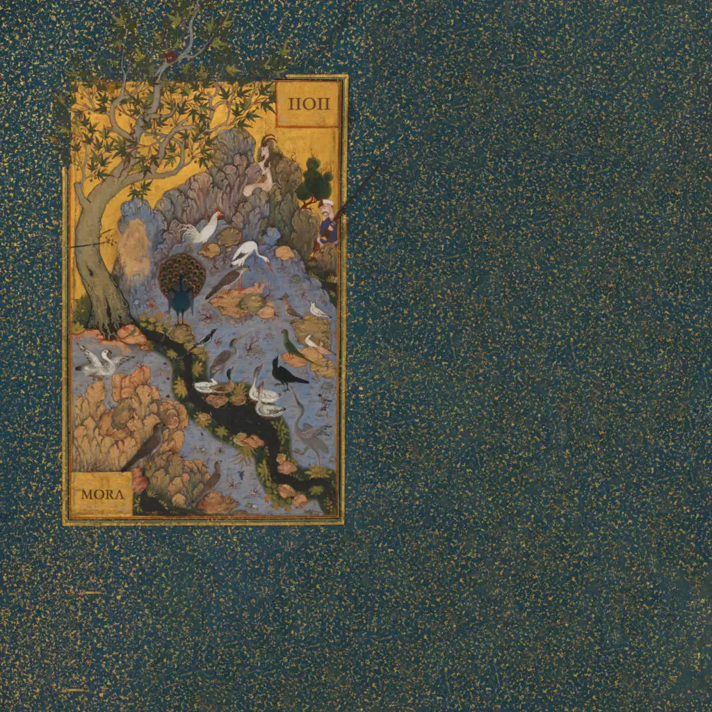 artist-header-image