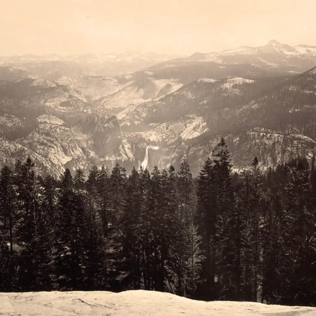 artist-header-image