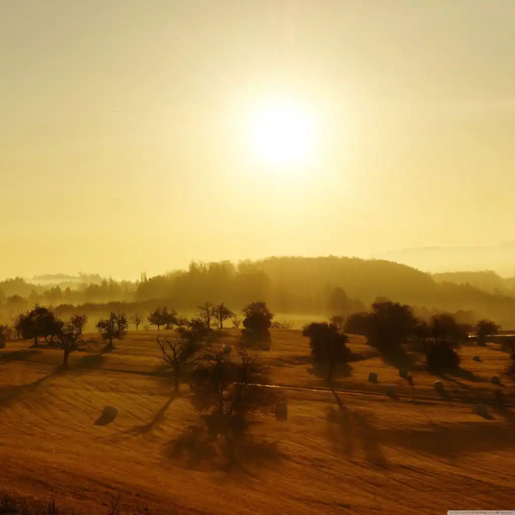 header-image