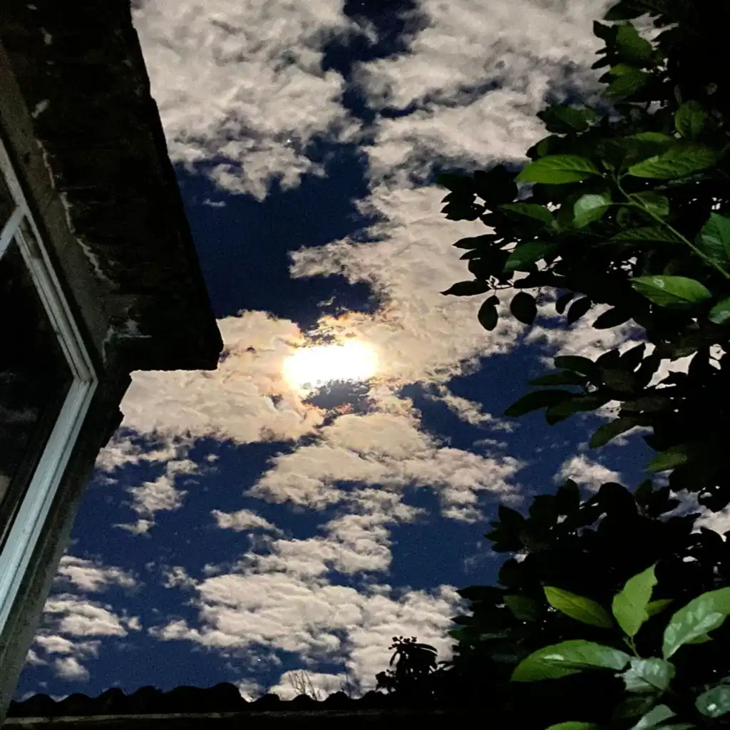 header-image