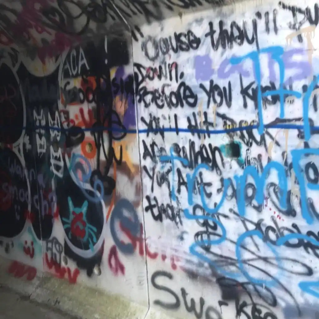 artist-header-image