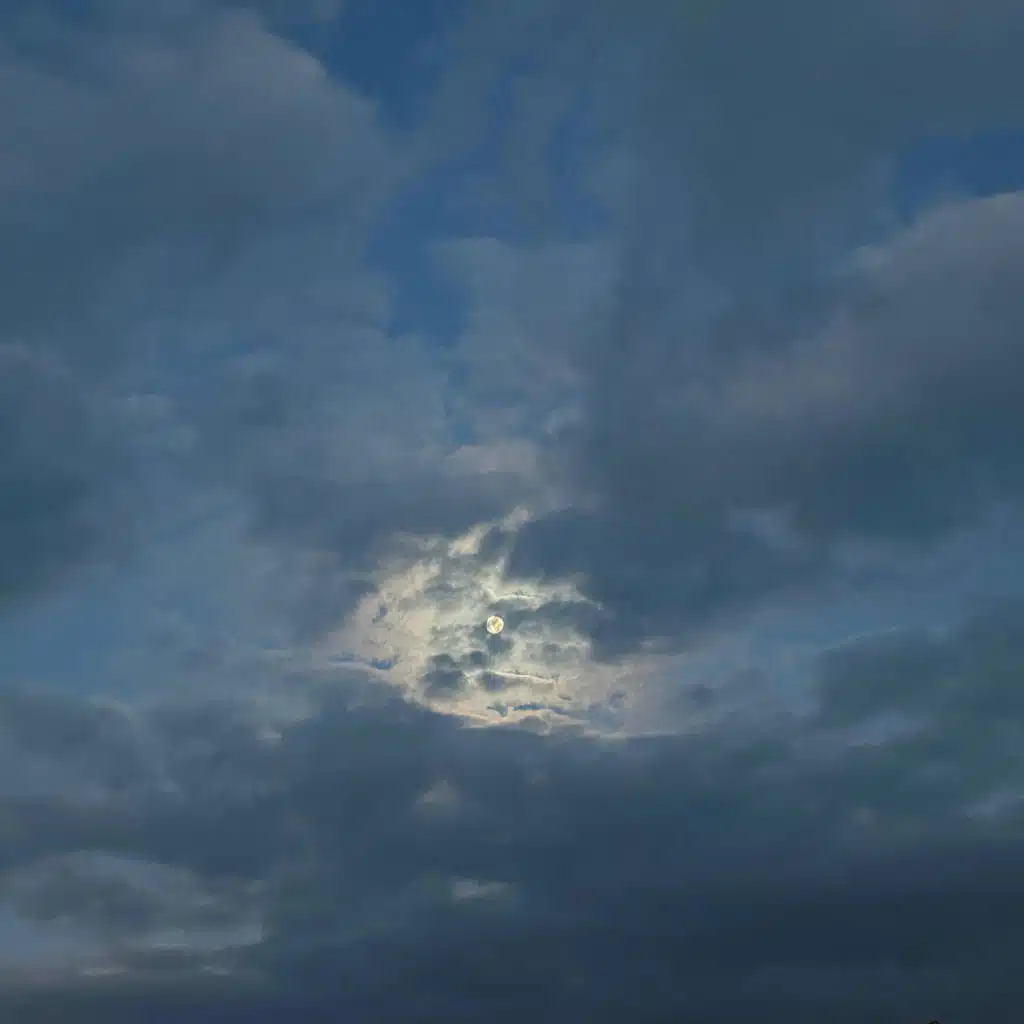 header-image