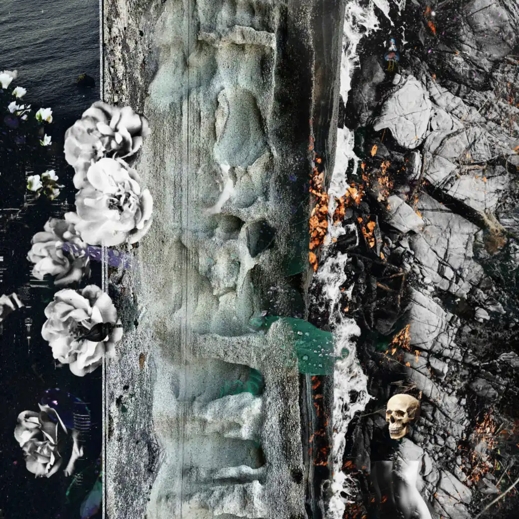artist-header-image
