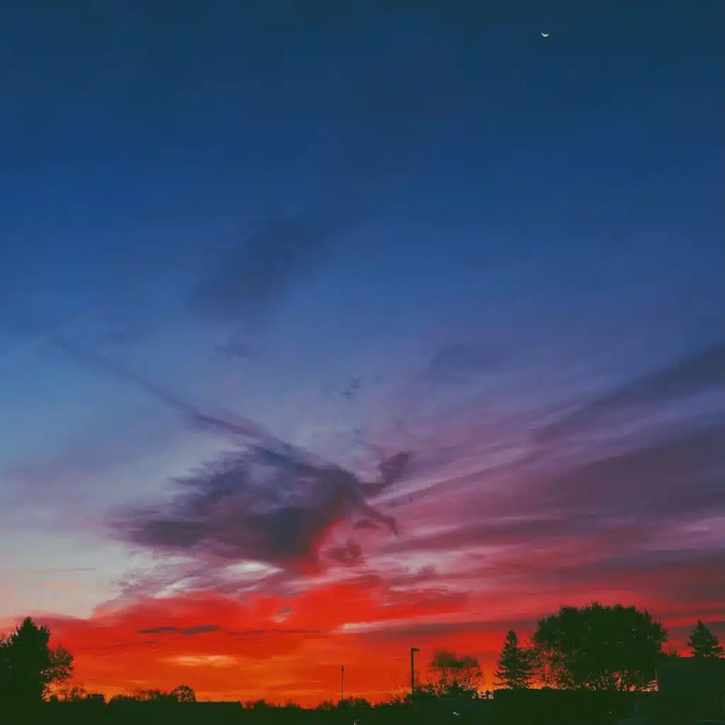 header-image