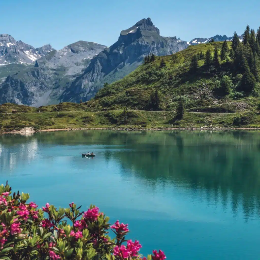 header-image
