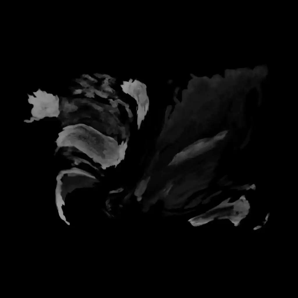 artist-header-image
