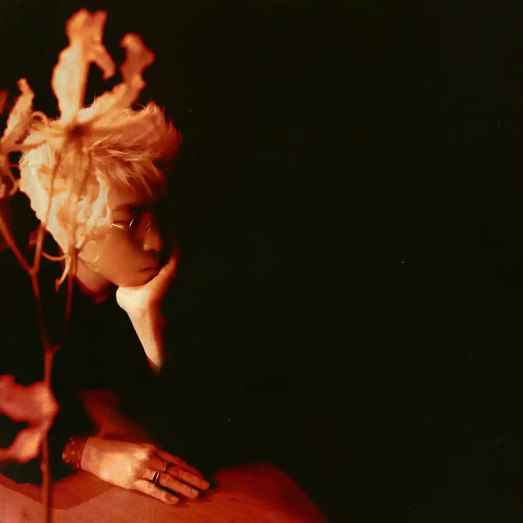 artist-header-image