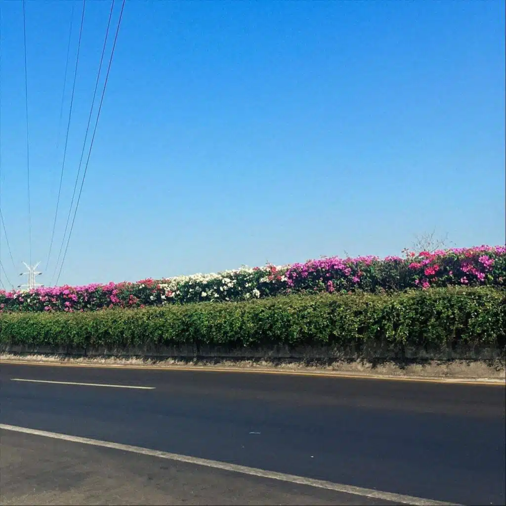 artist-header-image