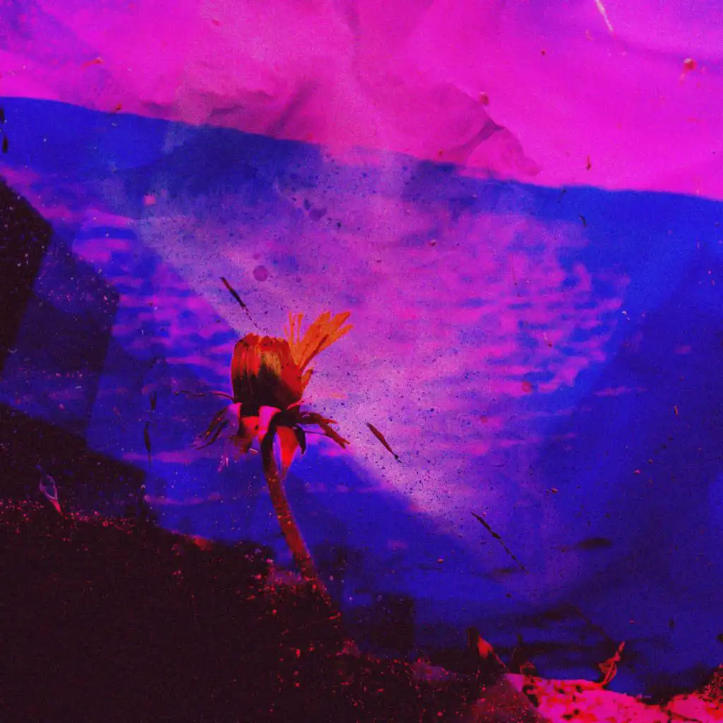 artist-header-image