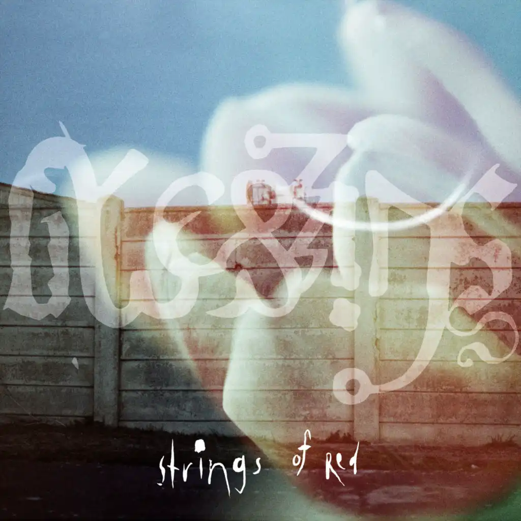 header-image