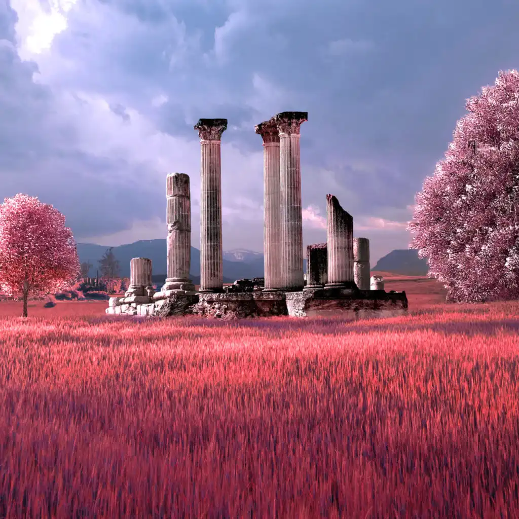 artist-header-image