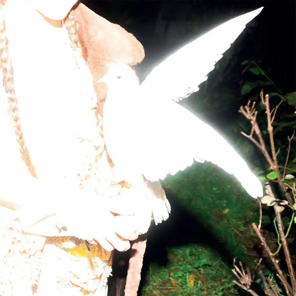 artist-header-image