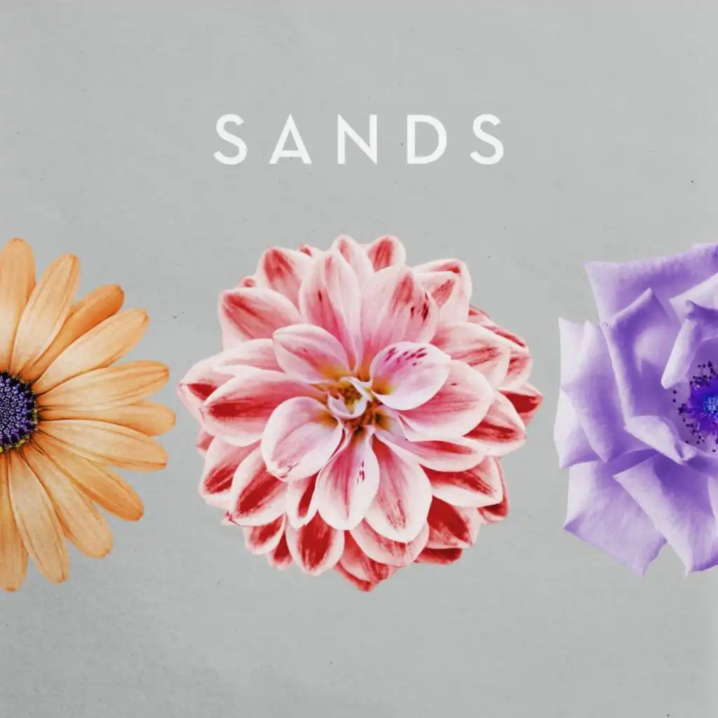 artist-header-image