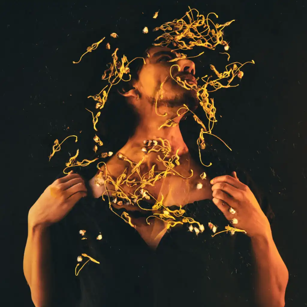 artist-header-image