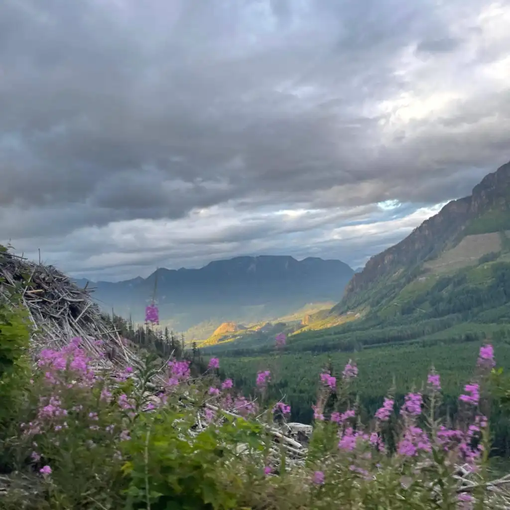header-image