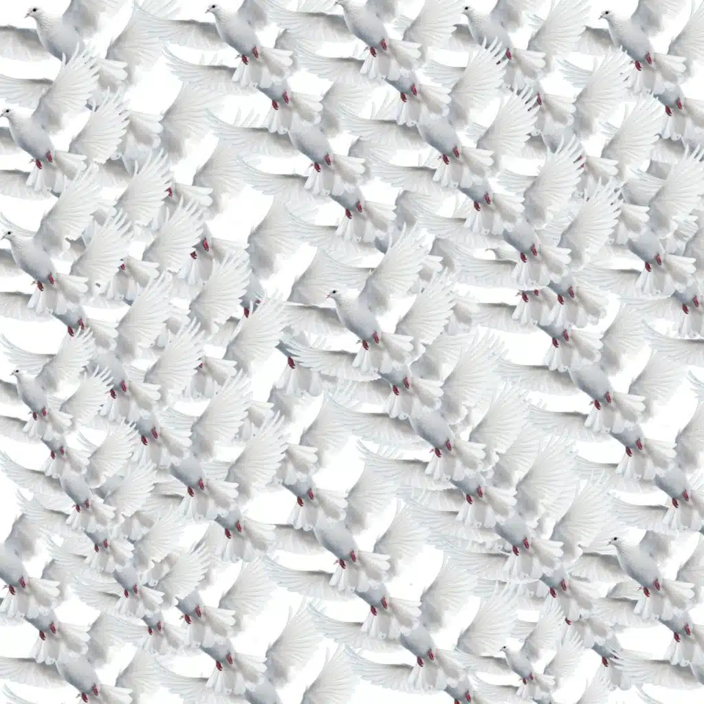 header-image