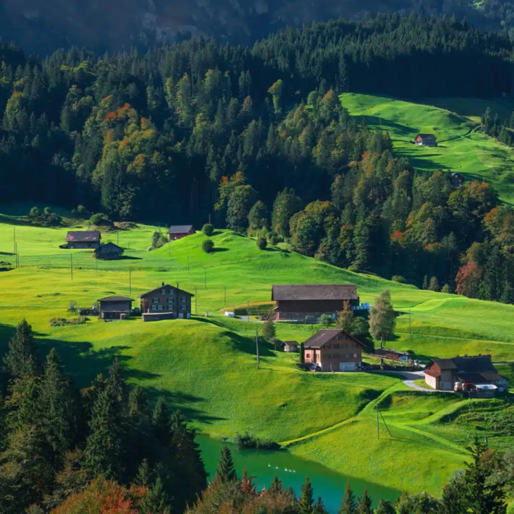 header-image