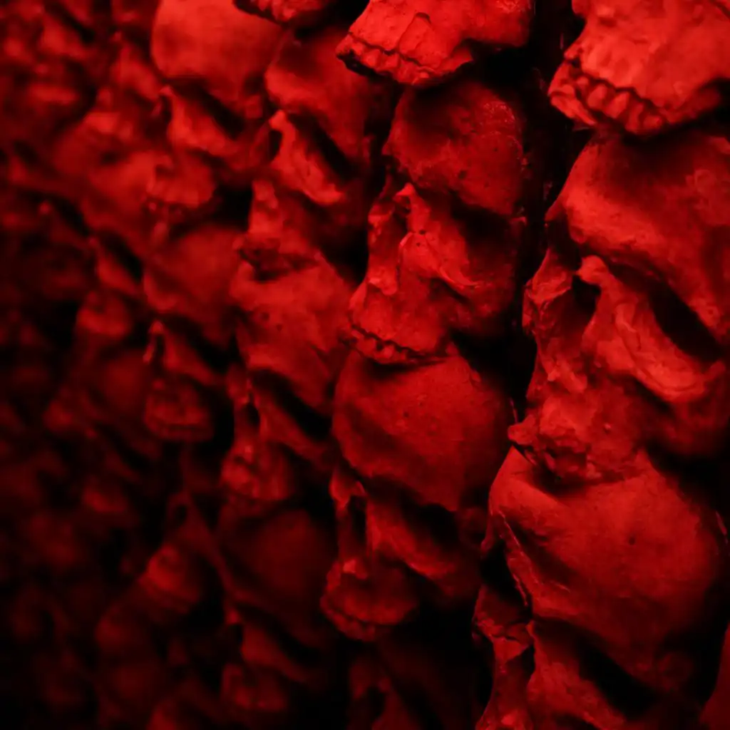 artist-header-image