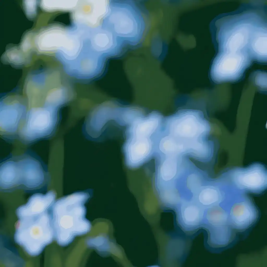 artist-header-image