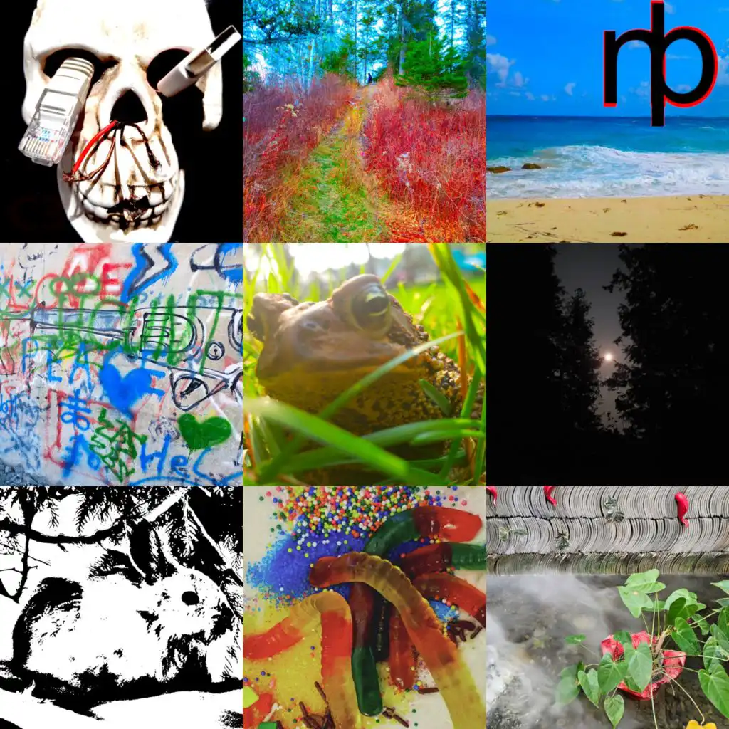artist-header-image