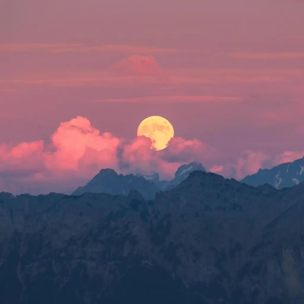 artist-header-image