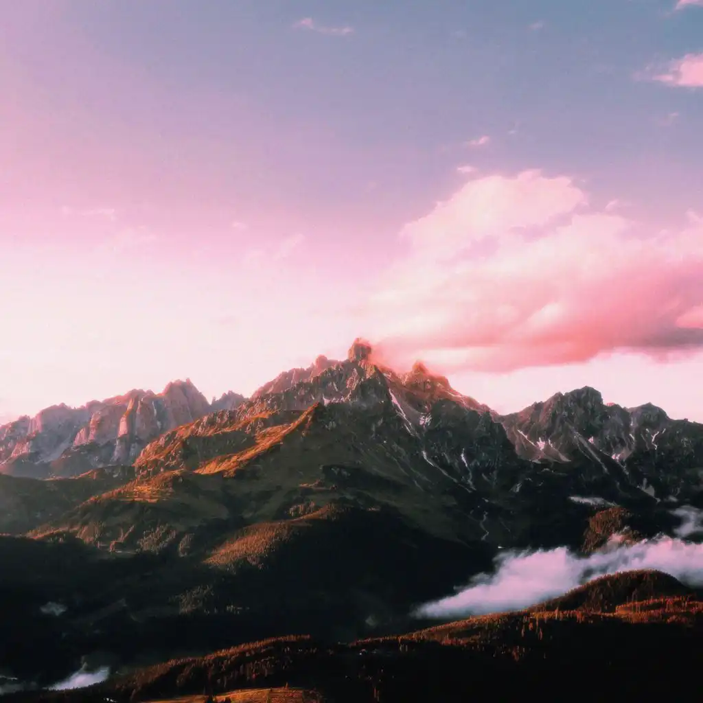 artist-header-image