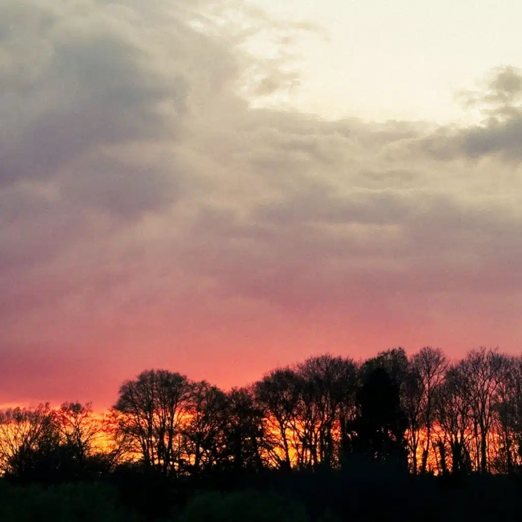 header-image