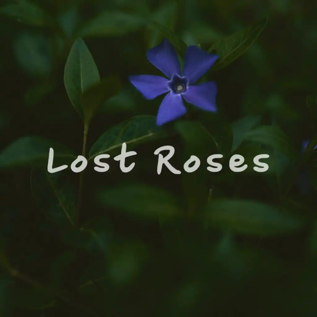 artist-header-image
