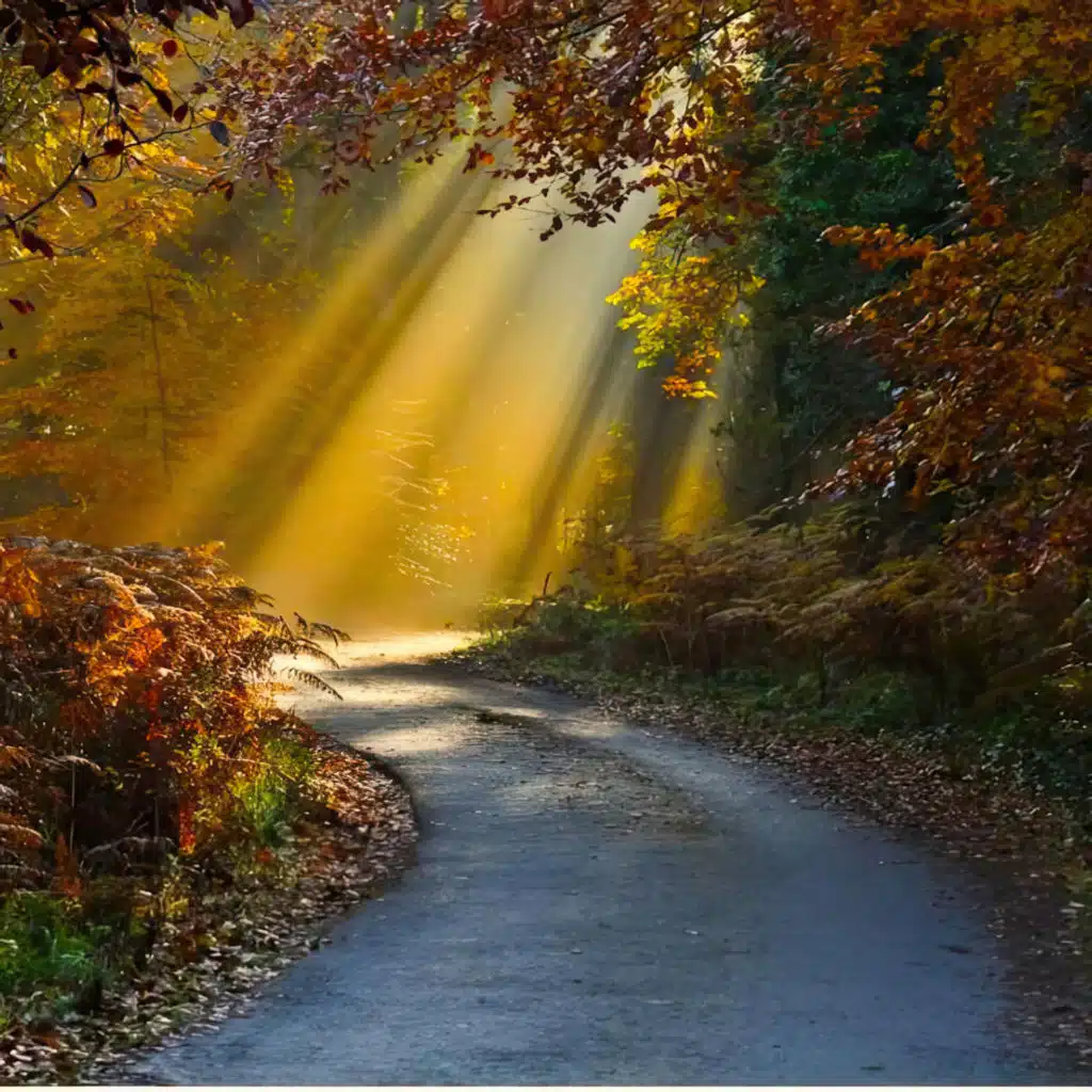 header-image
